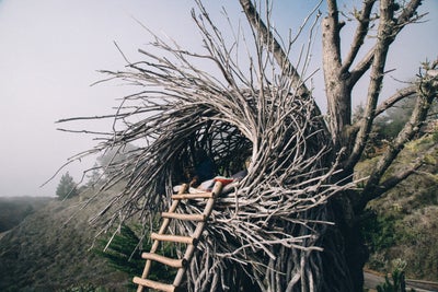 This Insta-Worthy Road Trip To Sleep in a Human Nest is Everything